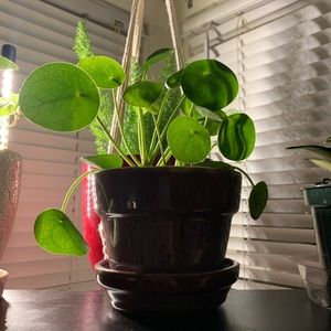 Meet your Posher, Kaitlyn